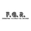 Logo F.g.r. Di Ferri Bruno & C. S.n.c.