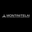 Logo Montini Telai Srl