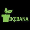 Logo Ikebana Floricoltura Di Giulini Elvio