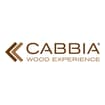 Logo Cabbia Group Srl