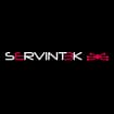Logo Servintek Srl