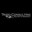 Logo Art Consulting Srl Semplificata