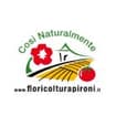 Logo Floricoltura Pironi Ss Agricola