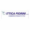 Logo Ittica Fiorini Srl