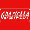 Logo "Cartotecnica G. Pistolesi Srl"