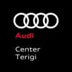 Logo Aldo Terigi Srl
