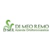 Logo Di Meo Remo
