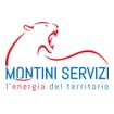 Logo Montini Servizi Srl