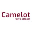 Logo Camelot Società Cooperativa Sociale