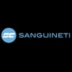Logo Sanguineti Srl