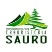 Logo Laboratorio D'erbe Sauro Di Nicoletta Sauro