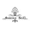 Logo Agricole Selvi Srl