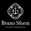 Logo Bruno Sforni Spa