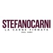 Logo Stefano Carni Srl