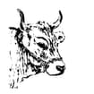 Logo Associazione Nazionale Allevatori Bovini Razza Grigio Alpina