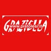 Logo "Cartotecnica G. Pistolesi Srl"