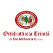 Logo Ortofrutticola Trinita' Di Elia Michele Srl