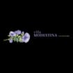 Logo Villa Modestina Agricola Srl