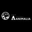 Logo Centro Veterinario Specialistico Srl In Breve "C.v.s. Srl"