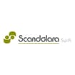 Logo Scandolara Spa