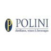 Logo Polini Group Italia Srl