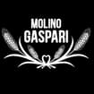 Logo Molino Gaspari Srl