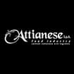 Logo Attianese Spa