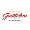Logo Meccanica Guaitolini Di Boschini Gianni Srl