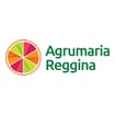 Logo Agrumaria Reggina Srl