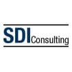 Logo Sdi Consulting S.a.s. Di Repetti & C.