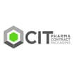 Logo Cit Srl