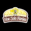 Logo Non Solo Farina Srl