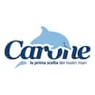Logo Carone Srl