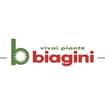 Logo Società Agricola San Giovanni Srl