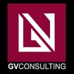 Logo Studio Gv Consulting Di Visentini Gianluca E C - Stp