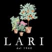 Logo Lari Sauro