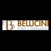 Logo Bellicini Serramenti Srl