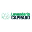 Logo Lavanderia Capraro Srl