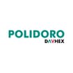 Logo Polidoro Spa