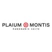 Logo Plaium Montis Srl Semplificata