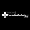 Logo Immobiliare Cobalto Spa