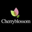 Logo Cherry Blossom Di Antonacci Emanuele