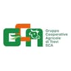 Logo Gruppo Cooperative Agricole Di Trevi Società Cooperativa Agricol A