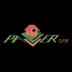 Logo Paver Srl