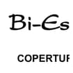 Logo Bi-Esse Asfalti S.a.s. Di Buffo Patrizia & C.