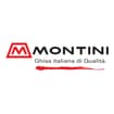 Logo Fonderie Montini Srl