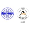 Logo Progetto Ambiente Di Pulvirenti Danilo & C. S.a.s.