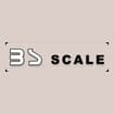 Logo Bs Scale Di Saraceni Monica