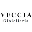 Logo Veccia Srl