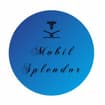 Logo Mobil Splendor Srl